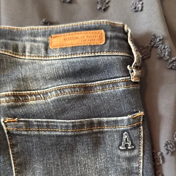 Articles Of Society Blue Skinny Jeans with Classic Styling - Picture 4 of 4